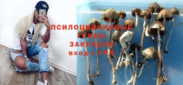крисы Арсеньев