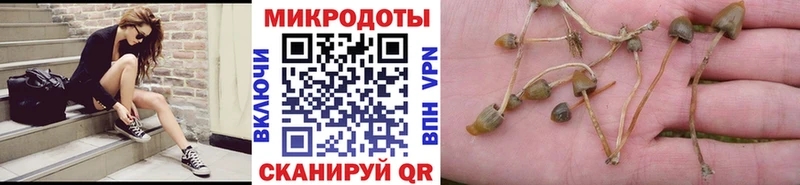 Галлюциногенные грибы мицелий Пыть-Ях
